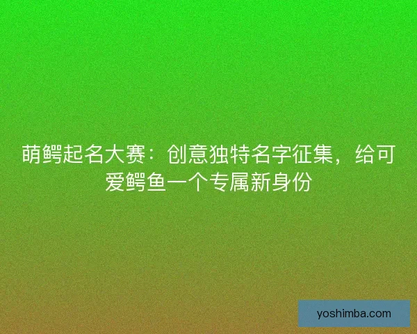 萌鳄起名大赛：创意独特名字征集，给可爱鳄鱼一个专属新身份